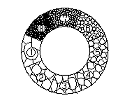 粒度スケールミクロメーター